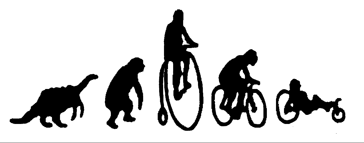 Die Evolution des Radlers