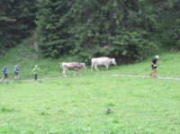 Hier haben sich ein paar Trailrunner ohne Nummer eingeschleust