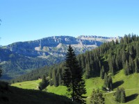 Welch Panorama beim Panorama Marathon :)